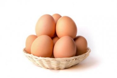 Quais são melhores para a dieta? ovos marrons ou brancos?