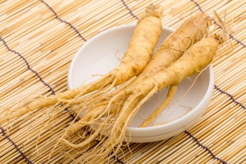 Ginseng para emagrecer