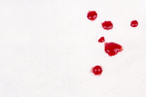 Manchas de molho de tomate na roupa