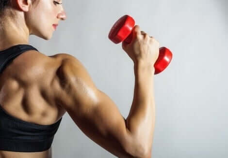 Mulher fortalecendo o bíceps