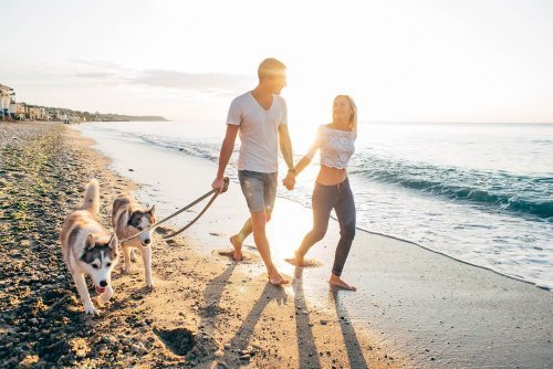 Os animais de estimação trazem grandes benefícios à família