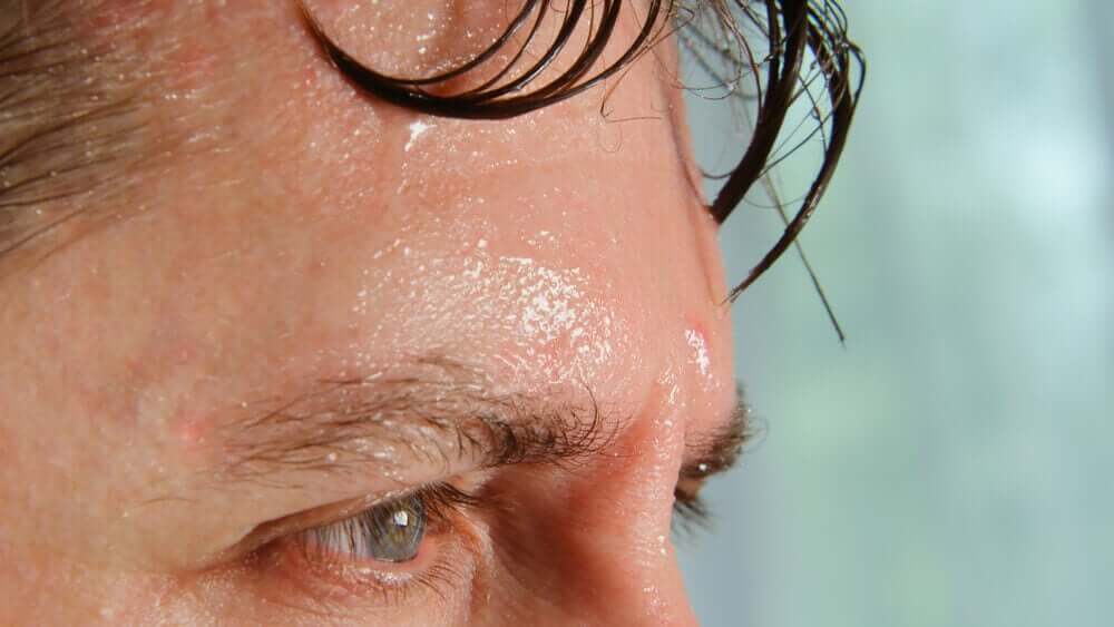efeitos do calor sobre o organismo