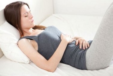 6 plantas para aliviar a gastroenterite