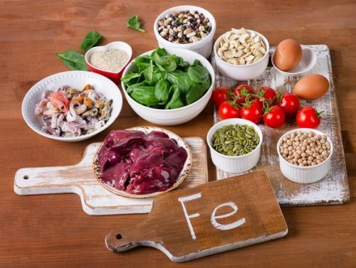 Alimentos ricos em Ferro na dieta para tratar a anemia