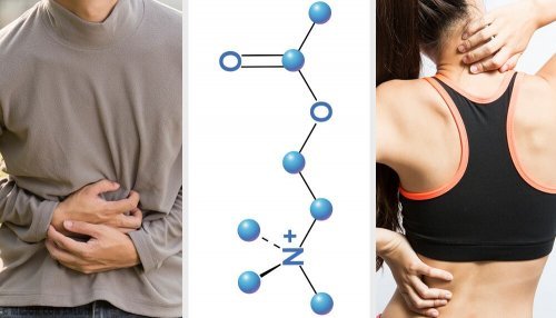 Antiespasmòdicos para dores musculares