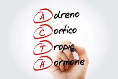 Corticotropina: o que é e como funciona