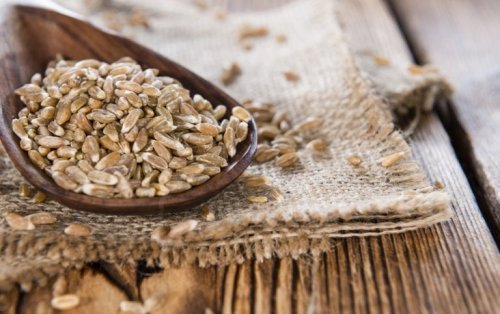 Esses cereais apresentam um alto teor de carboidratos complexos, o que produz uma assimilação lenta e progressiva dos açúcares