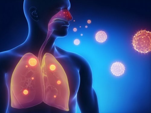 O hissopo alivia problemas respiratórios