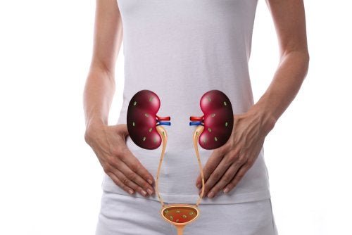 Infecções do trato urinário (ITU): sintomas e causas