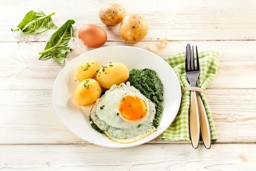 Cardápio vegetariano