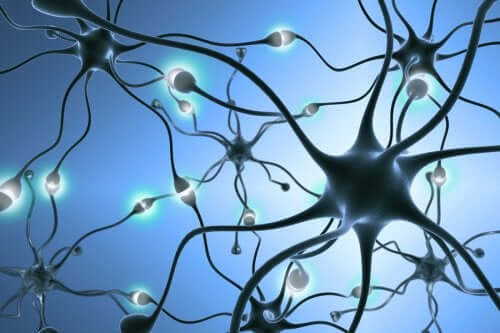 Neurogênese: como são gerados novos neurônios?