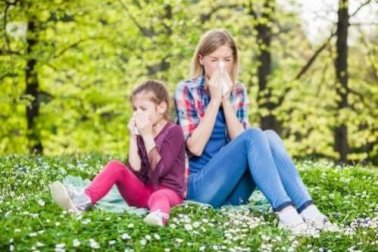 As melhores dicas contra alergias respiratórias