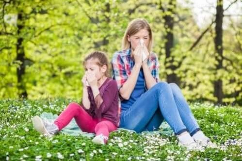 As melhores dicas contra alergias respiratórias