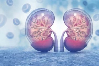 Vasopressina: o que é e como funciona