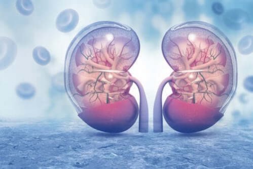 Vasopressina: o que é e como funciona