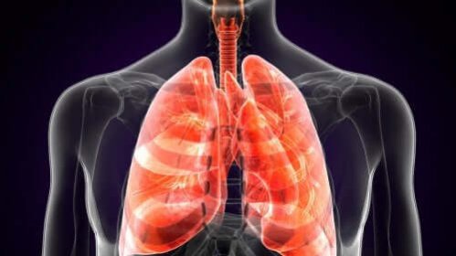 Hábitos que prejudicam a saúde dos pulmões
