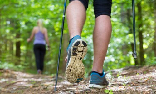 Caminhada nórdica pela floresta