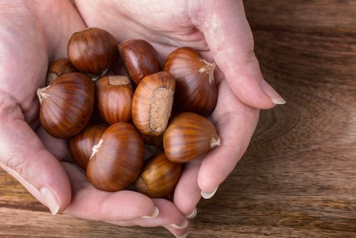 7 propriedades da castanha portuguesa para a saúde do corpo