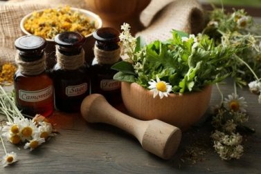 Descubra os benefícios do uso de remédios naturais