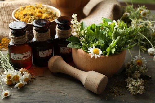 Descubra os benefícios do uso de remédios naturais