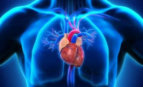 Bom funcionamento cardiaco