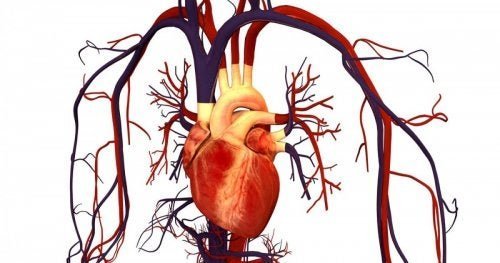 Controle o colesterol para prevenir donças cardiovasulares