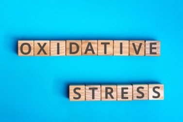 Estresse oxidativo, em que consiste?
