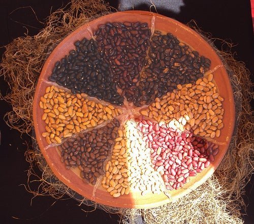 Feijões para preparar comidas veganas