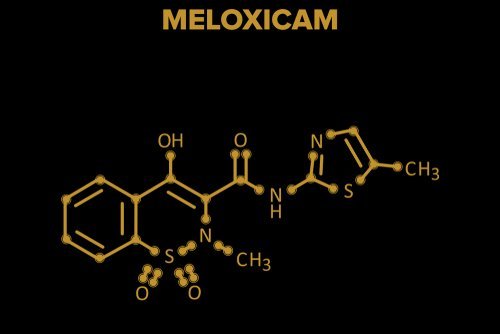 Meloxicam: tudo o que você precisa saber