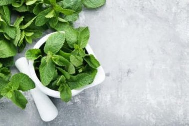 3 soluções com menta para os problemas digestivos