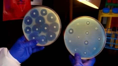 Bactérias resistentes à mupirocina