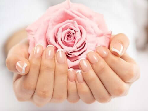 Cirurgia estética genital: labioplastia ou ninfoplastia