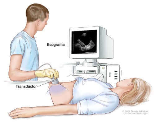 Procedimento de ultrassom abdominal