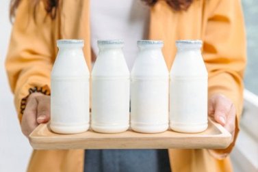 O que é melhor: lácteos integrais ou desnatados?