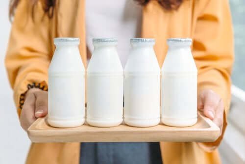 O que é melhor: lácteos integrais ou desnatados?