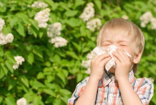 Garotinho com alergia assoa o nariz com um lenço rodeado por plantas no fundo.
