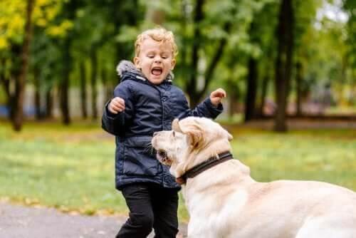 Meu filho tem medo de animais. O que devo fazer?