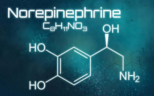 O que é norepinefrina e para que serve?