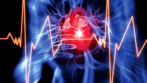 Representação cardíaca com cardiograma
