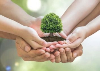 10 dicas para cuidar do meio ambiente em sua casa