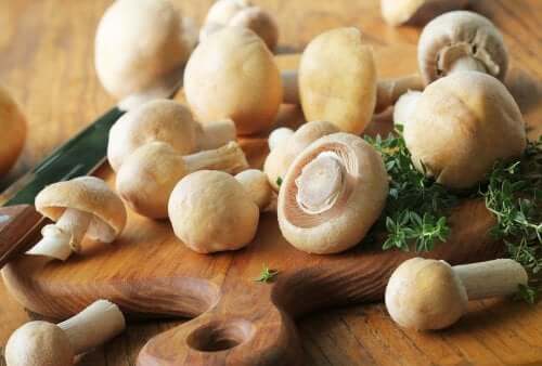 3 receitas com cogumelos com poucas calorias