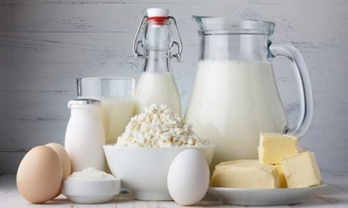 Produtos lácteos