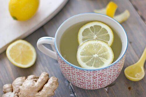 infusão de limão e raiz de gengibre