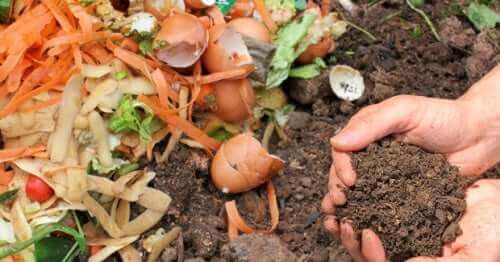 Composto caseiro