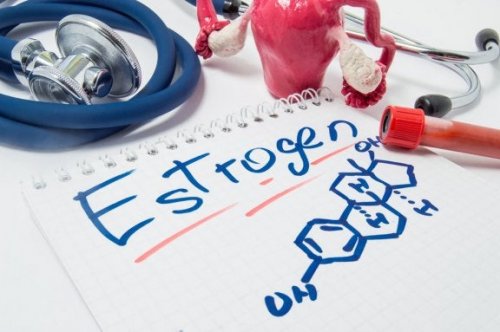 Os estrógenos mantêm o ciclo ovariano