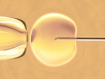 O que é a fertilização in vitro?