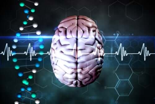 Mecanismos cerebrais de defesa