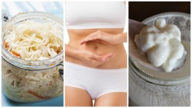 Por que é bom consumir alimentos fermentados?