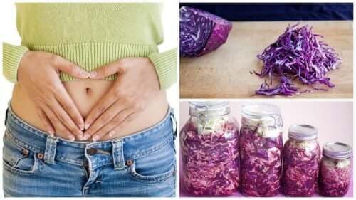 O repolho e a saúde intestinal