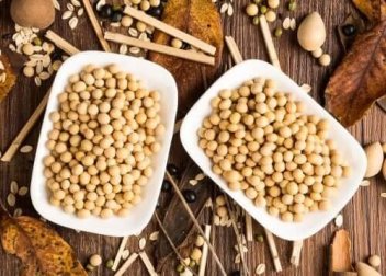 Proteína de soja: boa ou ruim para a saúde?